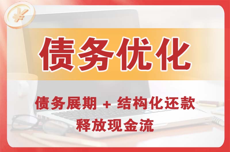 从化债务优化