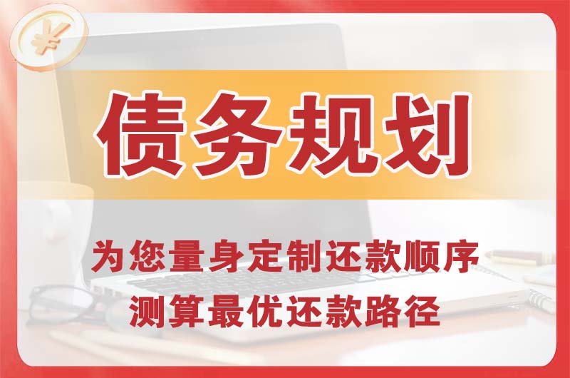 从化债务规划